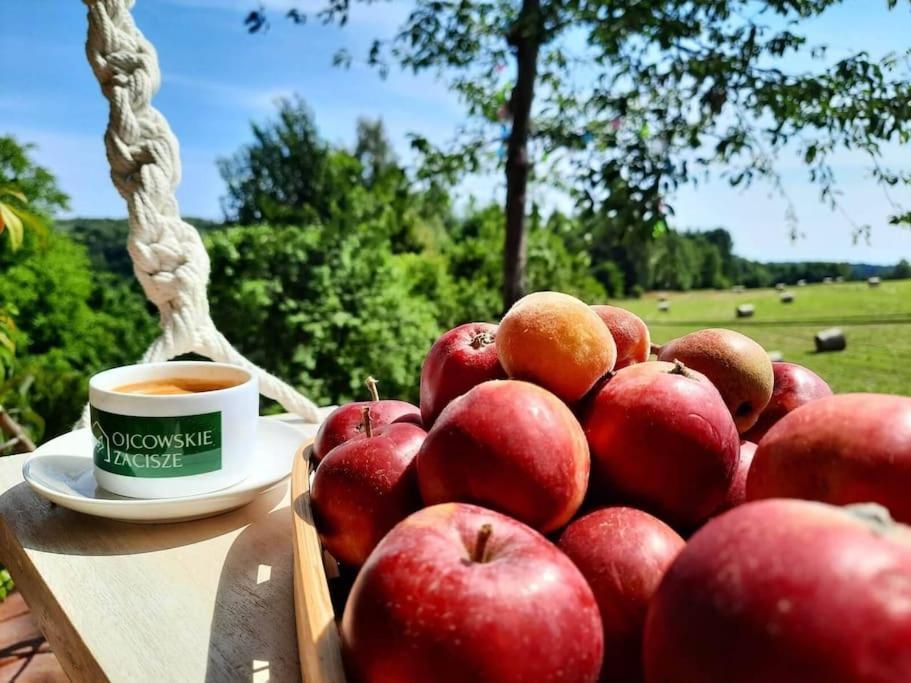 Appartamento Ojcowski Zakatek-Uroczy Domek Do Wynajecia Wola Kalinowska Esterno foto