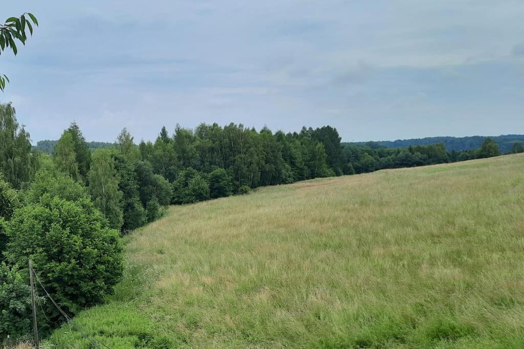 Appartamento Ojcowski Zakatek-Uroczy Domek Do Wynajecia Wola Kalinowska Esterno foto